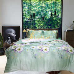 Bộ chăn ga gối lụa Hàn Quốc, drap trải giường siêu mát mịn Julia 868