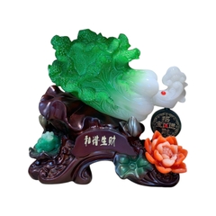 BẮP CẢI PHONG THỦY