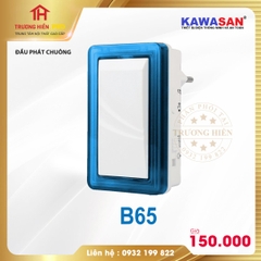 ĐẦU PHÁT CHUỐNG B65​​​​​​​ KAWASAN