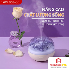 Máy khuếch tán tinh dầu cẩm tú cầu tím