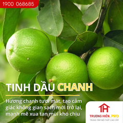 Tinh dầu IDANGCAP chanh nguyên chất 50ml