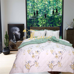 Bộ chăn ga gối drap giường cotton satin Hàn Quốc Julia 402