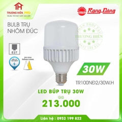 ĐÈN LED BULB RẠNG ĐÔNG TRỤ NHÔM ĐÚC 30W TR100NĐ2/30W.H