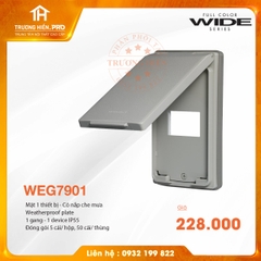 MẶ1 THIẾT BỊ - CÓ NẮP CHE WIDE SERIES  PANASONIC WEG7901