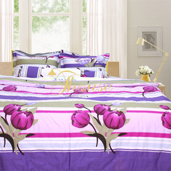 Bộ chăn ga gối drap giường 100% cotton Hàn Quốc Julia 115BC