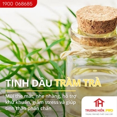 Tinh dầu IDANGCAP tràm trà nguyên chất 50ml