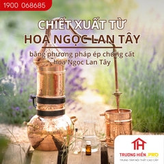 Tinh dầu IDANGCAP ngọc lan tây nguyên chất 10ml