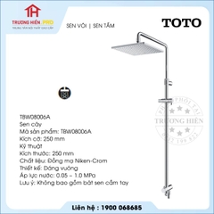 SEN VÒI TOTO TBW08006A