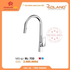 VÒI BẾP ROLAND RL- 733