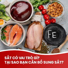 Sắt là gì? Tại sao bạn cần bổ sung sắt?