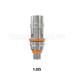 Artery - NP Coil - Occ Replacement ( lõi đốt )