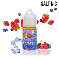 The Ocean - BERRIES ( Dâu Tổng Hợp ) - Salt Nicotine