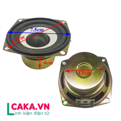 Loa 4R 10W, Loa toàn dải 4R 10W