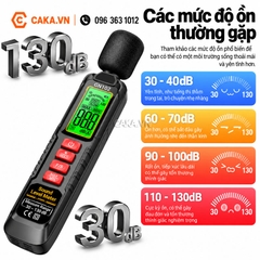 Máy Đo Độ Ồn ANENG GN102 30-130dB