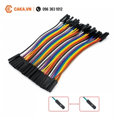 Dây cắm Breadboard Cái Cái 10cm 40 Sợi
