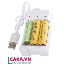 Bộ sạc pin 1.2V Pin Nimh