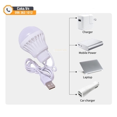 Bóng Đèn LED USB 5V Dùng Pin Sạc Dự Phòng - Đèn Buld Cắm Sạc, Dùng Ngoài Trời