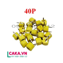 Tụ Xoay 40P 6mm
