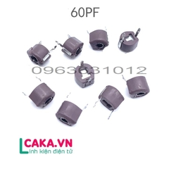 Tụ Xoay 60P 6mm