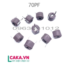 Tụ Xoay 70P 6mm