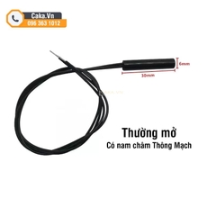 Cảm Biến Từ Cửa 6x30mm – Công Tắc Từ Thường Mở/Đóng