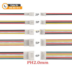 Cặp Dây Bus PH2.0 Dài 20cm Đầu Đực Cái 2P–6P