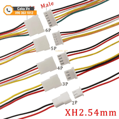 Cặp Dây Bus Kết Nối XH2.54 2P 3P 4P 5P 6P Dài 20cm Đực Cái