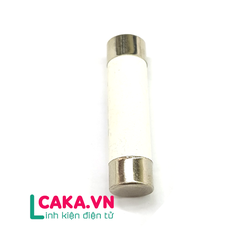 Cầu chì sứ 5A 10x38mm
