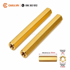 Trụ Đồng M3 Cái Cái Dài 40mm