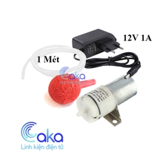 Bộ bơm sục khí bể cá kèm nguồn