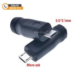 Đầu Chuyển Nguồn DC 5.5x2.1mm Sang Micro USB, Mini USB, Type-C
