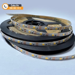 Dây LED 2835 5mm 60LED/m điện áp 3V-6V