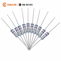 Điện Trở Công Suất 2W Sai Số 5%