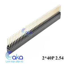 Jump cái đôi chân dài 2x40P kích thước chân 2.54mm