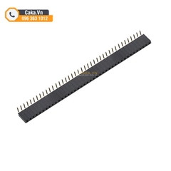 Header Cái 2.54mm 1x40P Jump Đơn Thẳng - Cắm Breadboard, Hàn Mạch