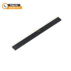 Header Cái 2.54mm 1x40P Jump Đơn Thẳng - Cắm Breadboard, Hàn Mạch