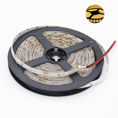 LED dây 5050 RGB 60 led IP67 12V cuộn 5m