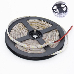 LED dây 5050 RGB 60 led IP67 12V cuộn 5m