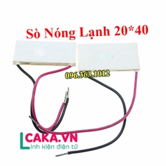 Sò nóng lạnh TEC1-06308 20x40MM 7.8V 8A