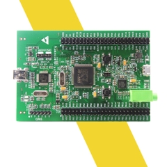 Kit STM32F407 Discovery (ARM Cortex M4 DSP Core)