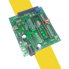 Kit pic mini ra chân 16F877/16F887/18F4550
