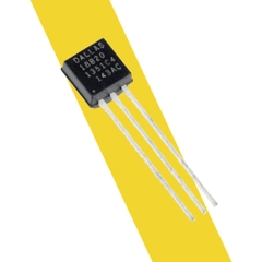 IC Cảm biến nhiệt độ DS18B20