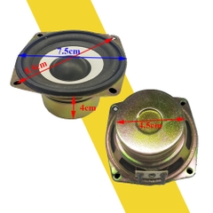 Loa 4R 10W, Loa toàn dải 4R 10W