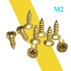 Vít vàng nhọn M2 10/15mm Gói 20c