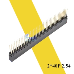 Jump cái đôi chân dài 2x40P kích thước chân 2.54mm