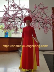 Áo dài 05