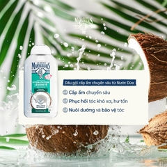 Dầu gội hữu cơ LE PETIT MARSEILLAIS 250ml
