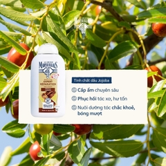 Dầu gội hữu cơ LE PETIT MARSEILLAIS 250ml