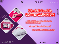 Đệm Sưởi Siêu Vi Sợi Cao Cấp Lotte