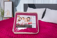 Đệm Sưởi Siêu Vi Sợi Cao Cấp Lotte